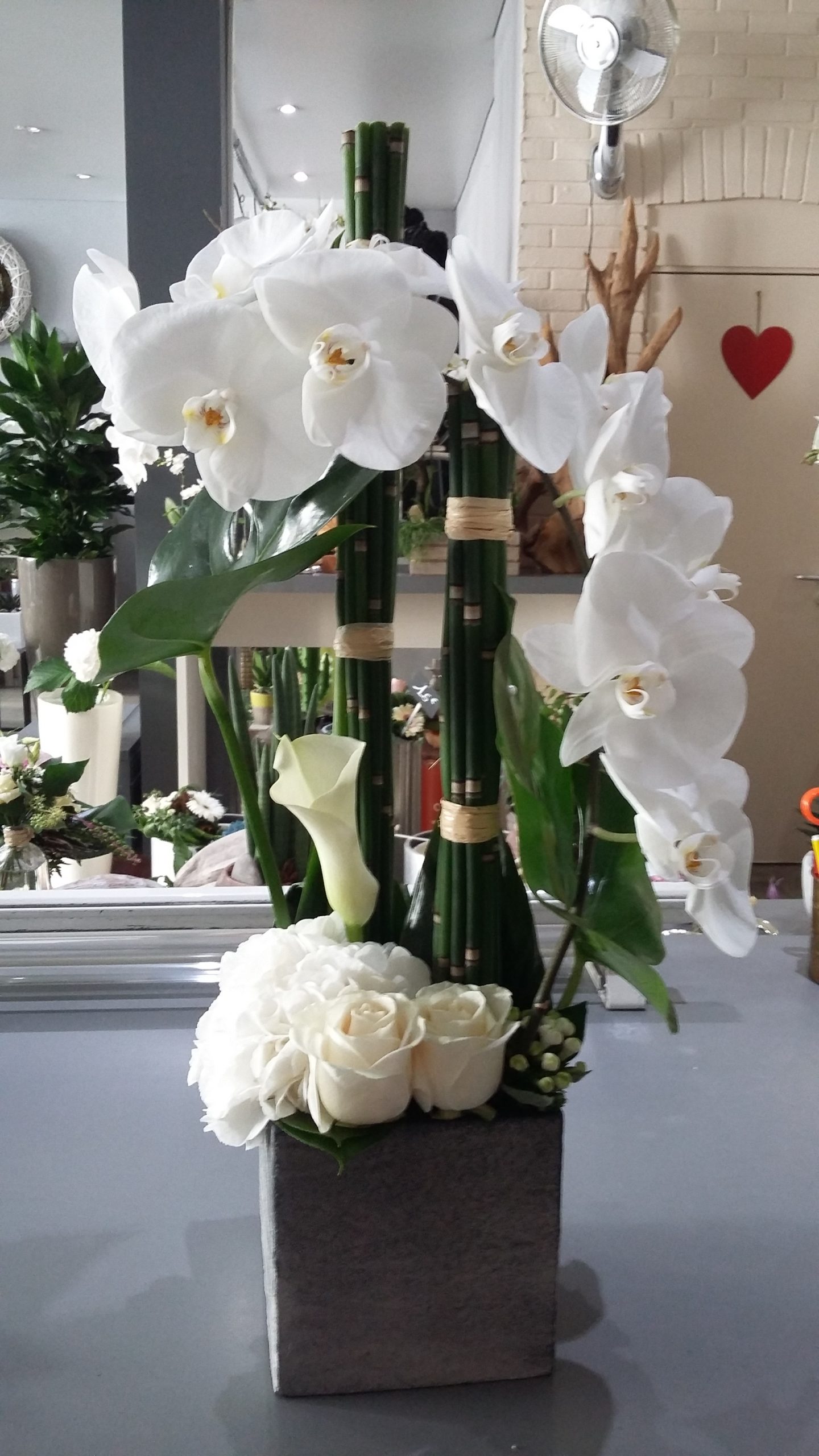 Composition branche d'orchidée